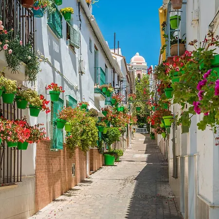Villa Violeta Old Town